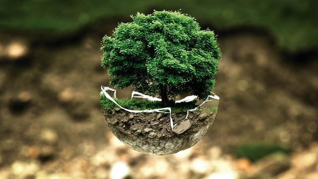 Strengthening Environmental sustainability Initiatives