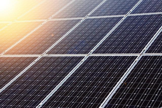 Sustainable Alternatives: Moving Beyond Harmful Practices