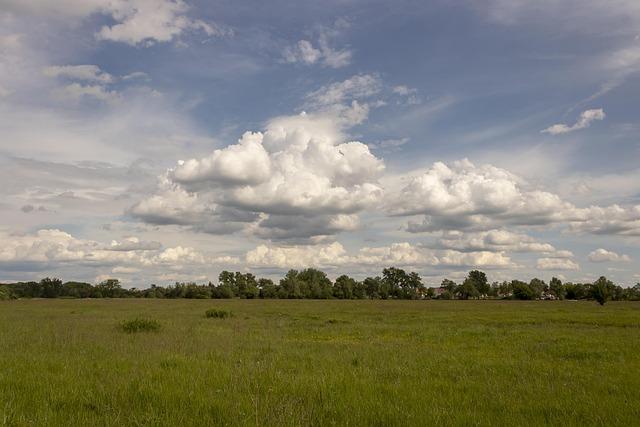 Understanding the Meteorological Factors Behind the Current Trend