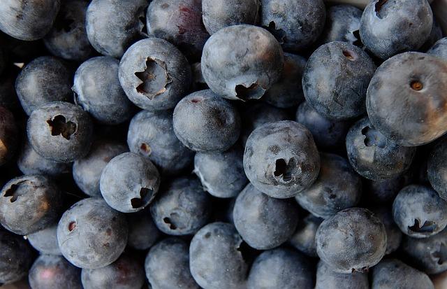 Peru's Frozen Blueberry Market: Opportunities and Obstacles