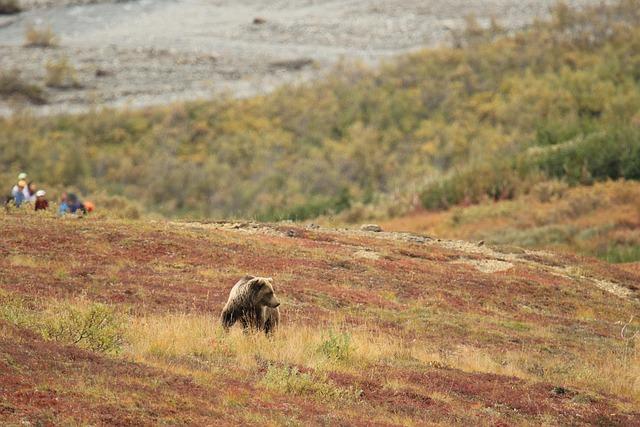Historical Significance of Denali and the Naming Debate Among Native alaskan Communities