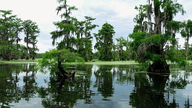 Louisiana's Push for Gulf of America: Understanding the Decision