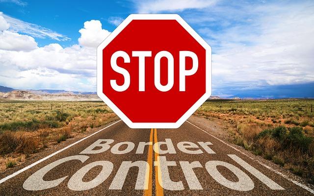 Examining the Implications of Birthright Citizenship Reforms