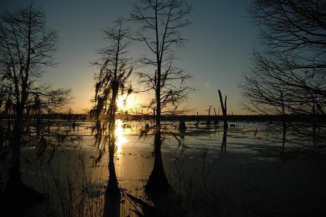 Louisiana's Environmental Challenges: the Impact of Pollution on Public Health