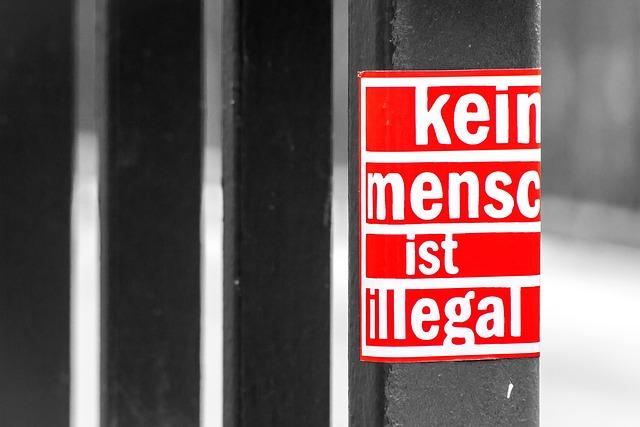 Potential Reactions from International Human Rights Organizations