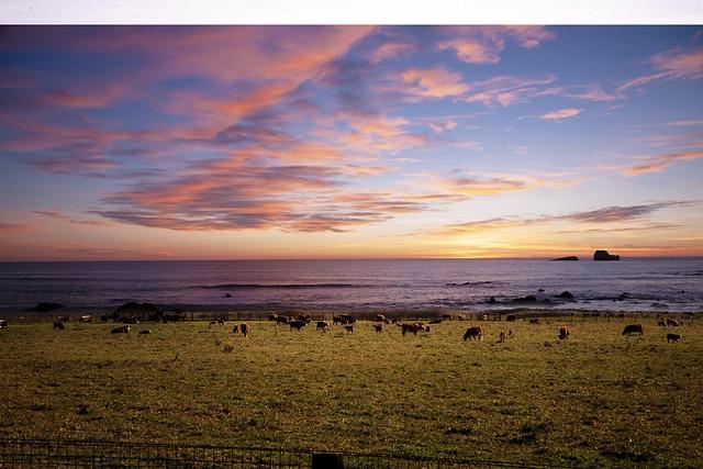 Future Prospects: Forecasting the Long-Term Impact on U.S. Tourism from Tariff Policies