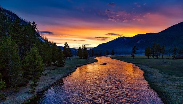 Understanding the Historical Context of the National Park Service's Global Role
