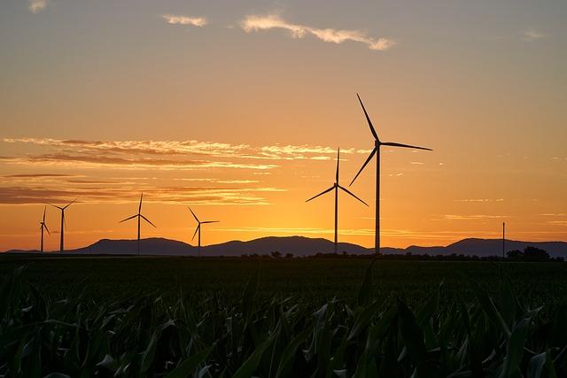 Environmental Considerations for Sustainable Farming Practices