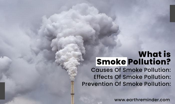 Health Risks and Environmental Consequences of Smoke Pollution