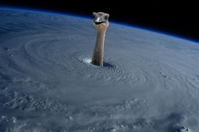 Impact Assessment of Hurricane Beryl on Caribbean Islands
