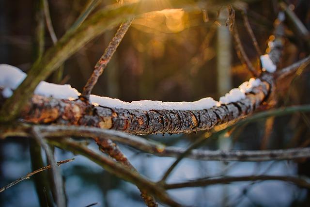 Recommendations for Residents and Travelers during the Winter Season