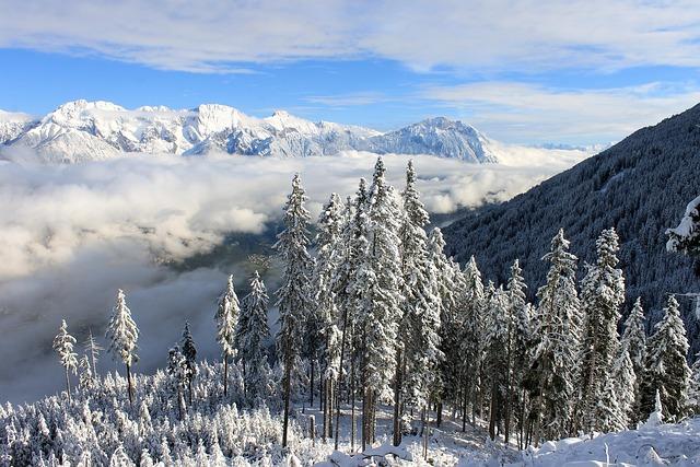 Economic Opportunities in a Snowy Environment