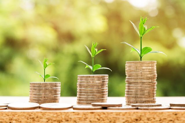Economic Opportunities and challenges in the Region