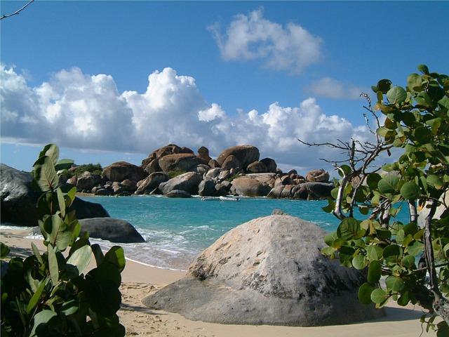 Impact on the british Virgin Islands' Reputation: Economic and Political Ramifications