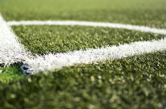 Recommendations for Enhanced Turf Management at upcoming Events
