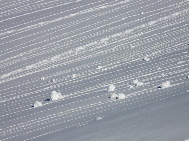 Recent Avalanche Risks and Patterns in the Western United States