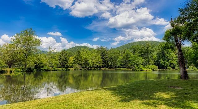 Legacy of North Carolina's Constitutional Engagement Today
