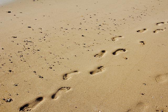 Policy Recommendations for Reducing Corporate footprint ⁣in Deforestation