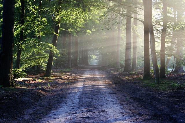 Future Plans for Expanding Quiet trails Across the U.S