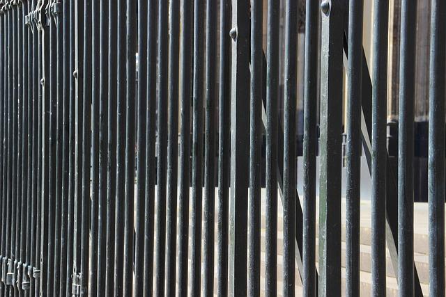 Factors Driving South Africans to Seek Asylum in the United States