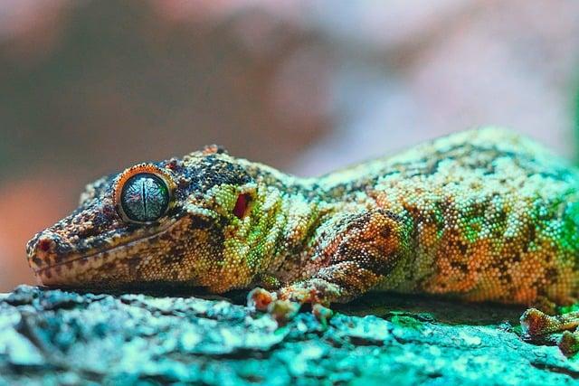 ecological Concerns: The Impact on Biodiversity in the Reserve