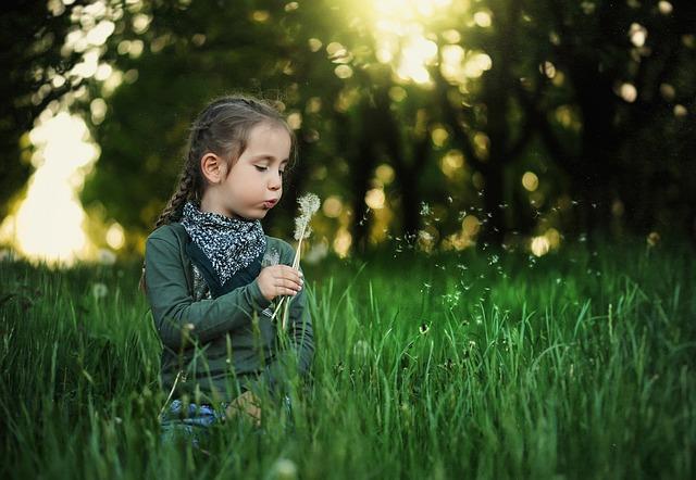 Evidence and Testimonies Supporting Claims of innocence