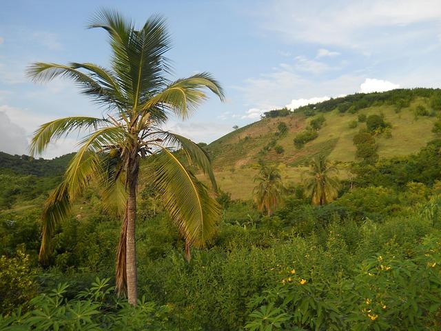 Recommendations for Those Considering Travel to Haiti