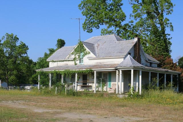 Understanding kudzu's Origin and Spread in the Southern landscape