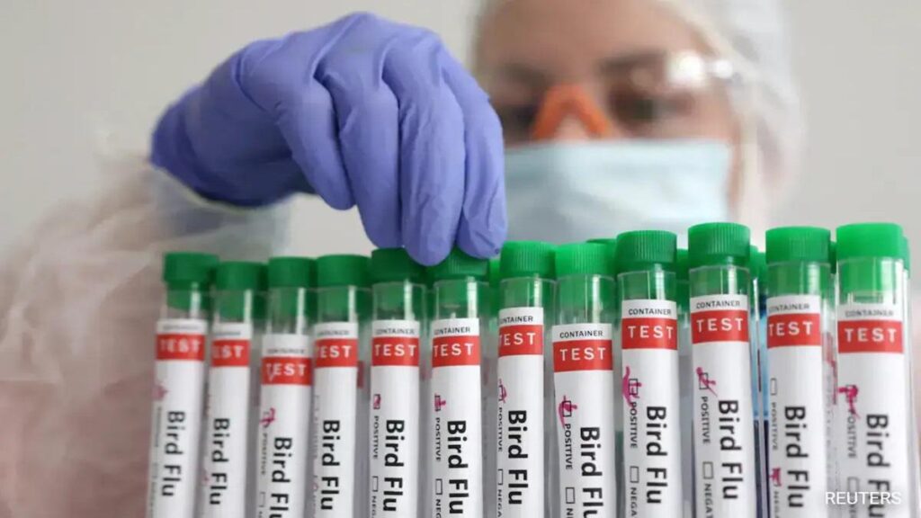 Louisiana reports first bird flu-related death in US – Reuters