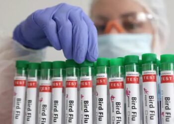 Louisiana reports first bird flu-related death in US – Reuters
