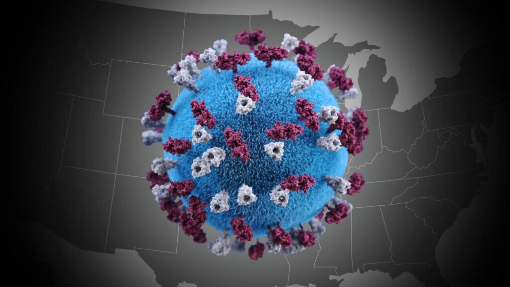 Measles cases in Texas, New Mexico rise to 294 as outbreak spreads – Reuters