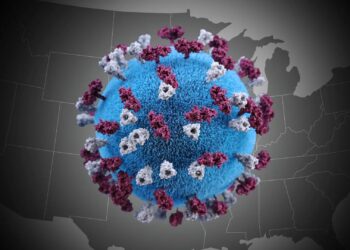 Measles cases in Texas, New Mexico rise to 294 as outbreak spreads – Reuters