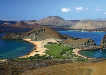 The Galapagos of North America Is Only 50 Miles From Los Angeles – Fodors Travel Guide