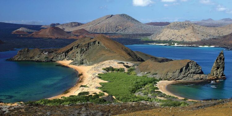 The Galapagos of North America Is Only 50 Miles From Los Angeles – Fodors Travel Guide