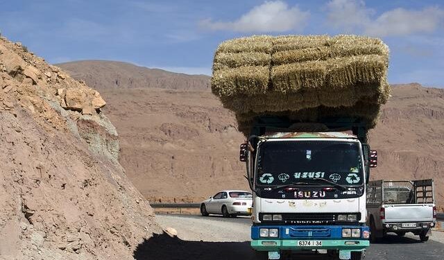 Boyz lose 3-1 to Ecuador; out of Copa America – Jamaica Observer