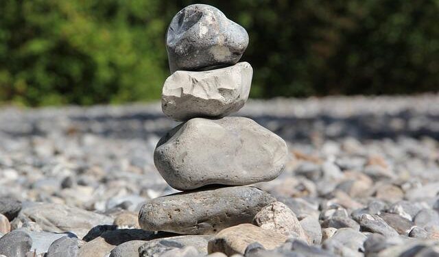 Mallory McMorrow Enters Michigan Senate Race – The New York Times
