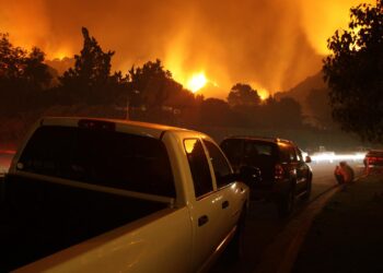 Multiple wildfires in North and South Carolina force evacuations – The Guardian
