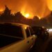 Multiple wildfires in North and South Carolina force evacuations – The Guardian