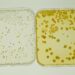 Nine people hospitalized in listeria outbreak linked to South Carolina food processor – The Guardian