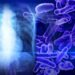 The tuberculosis outbreak in Kansas is alarming. It’s not the biggest in US history though, CDC says – AP News