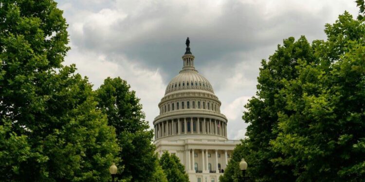 Hammer ranks farm bill as top priority if elected to US House – North Dakota Monitor