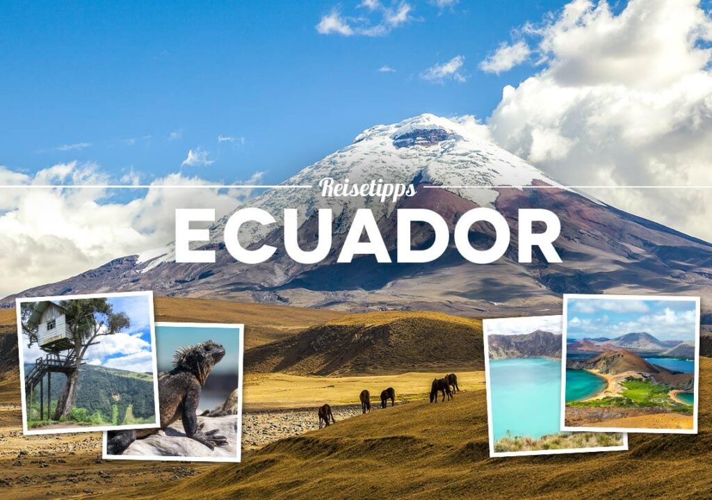 Ecuador mounts anti-drug op overseen by Blackwater founder – Caledonian Record