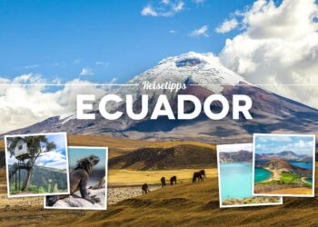 Ecuador mounts anti-drug op overseen by Blackwater founder – Caledonian Record