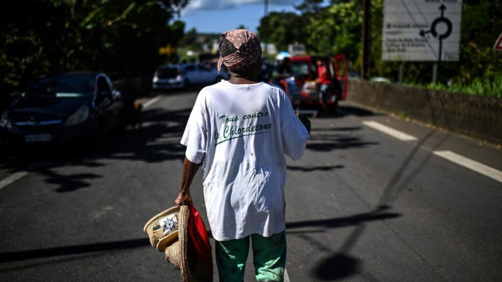 Focus – How a toxic pesticide poisoned French Caribbean island of Martinique – France 24