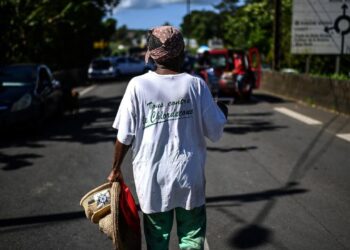 Focus – How a toxic pesticide poisoned French Caribbean island of Martinique – France 24