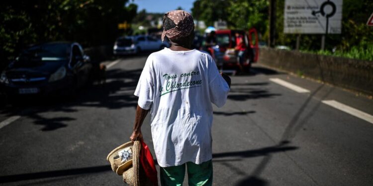 Focus – How a toxic pesticide poisoned French Caribbean island of Martinique – France 24