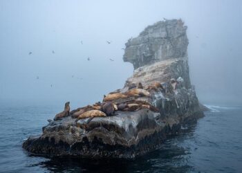 Long Island travel – Lonely Planet