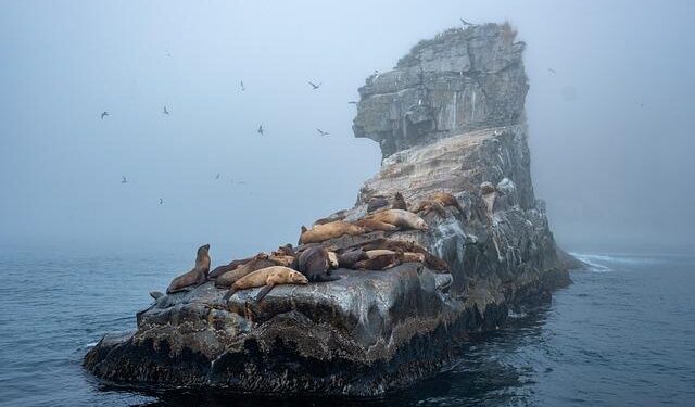 Long Island travel – Lonely Planet
