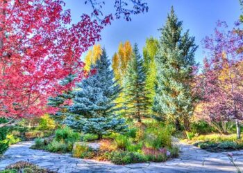 This Little-Known Colorado National Park Town Has North America’s Highest Concentration Of Archaeological Sites – TheTravel
