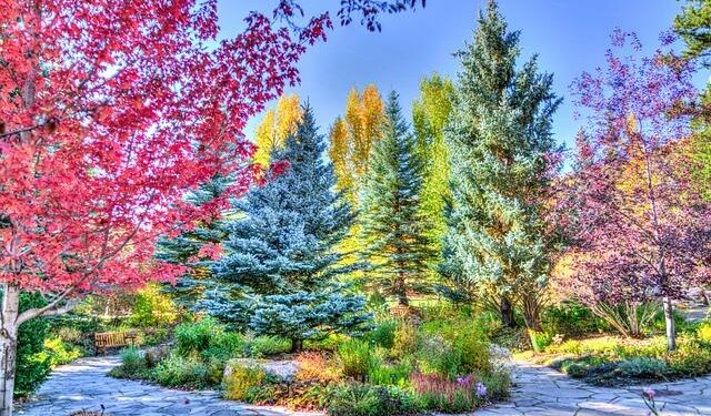 This Little-Known Colorado National Park Town Has North America’s Highest Concentration Of Archaeological Sites – TheTravel